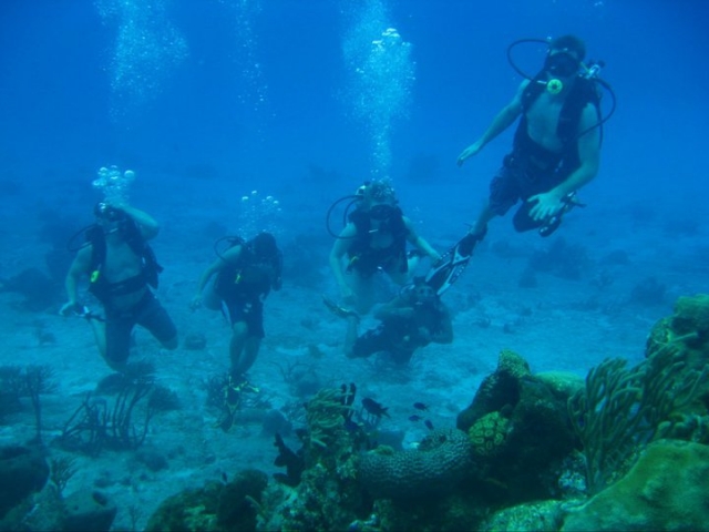 Diving in the sea 